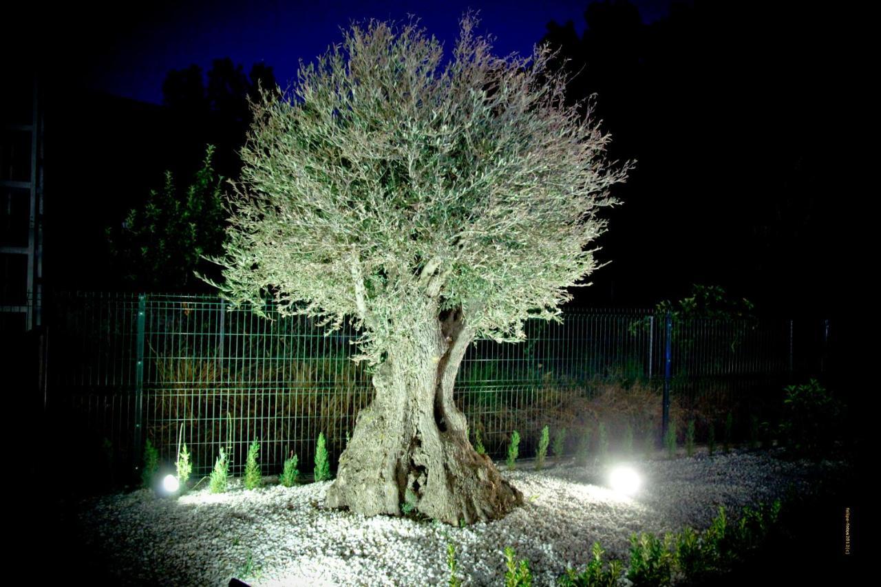 الكالا ديل جوكار Casas Rurales Los Olivos المظهر الخارجي الصورة